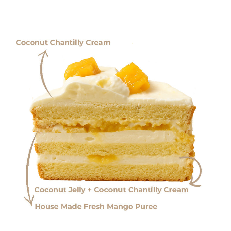 *EXPRESS* Coconut Mango Breeze
