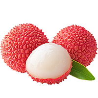 Cream Flavour