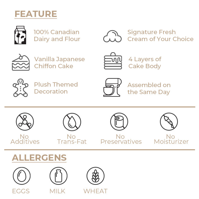 *Advance Order Discount* Plush Style Rainbow Birthday Cake