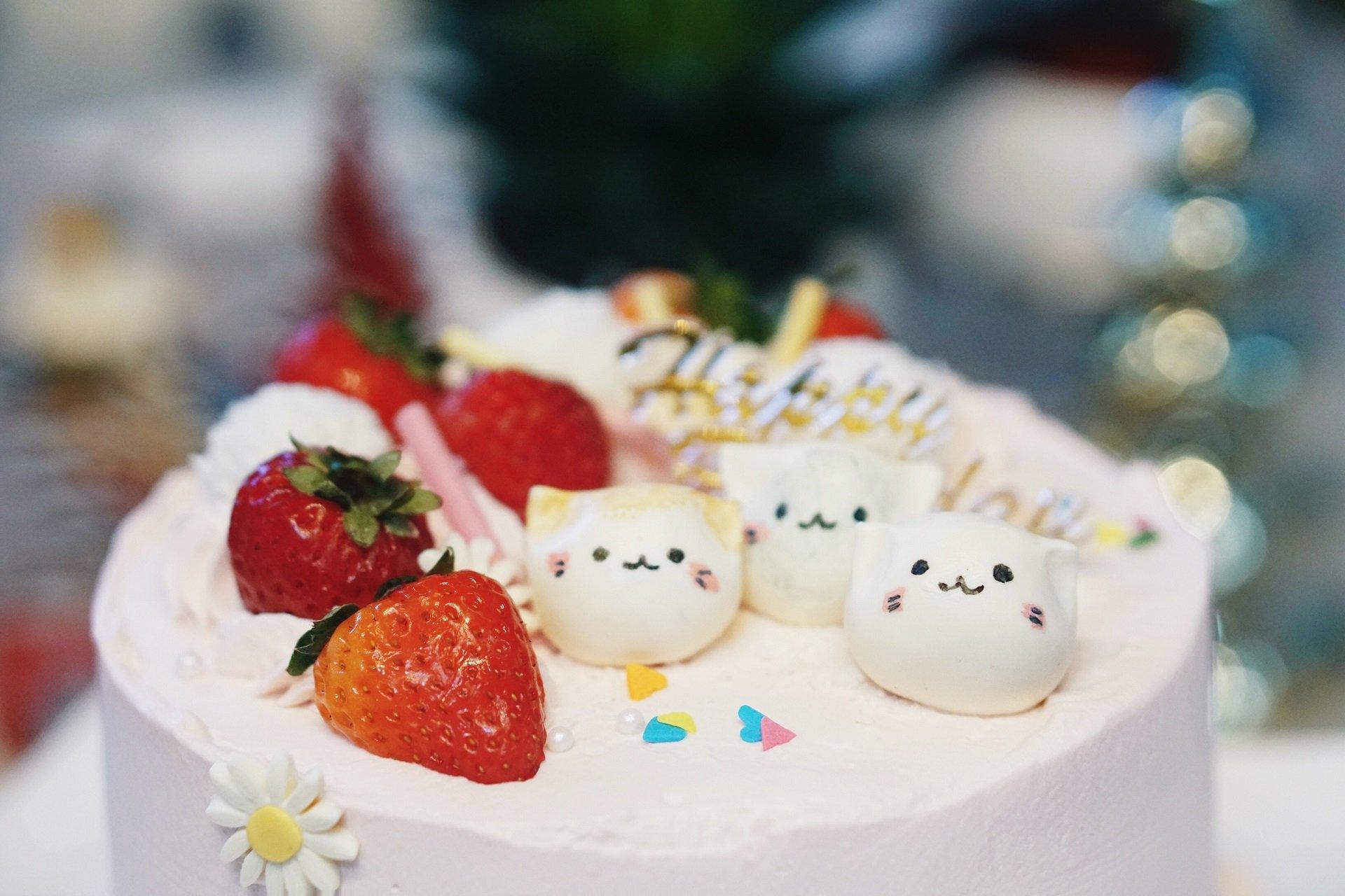 Strawberry Cats - Cake - Dessert - Birthday - Event -The Place Toronto